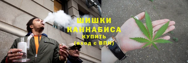 мет Новозыбков