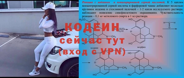 мет Новозыбков