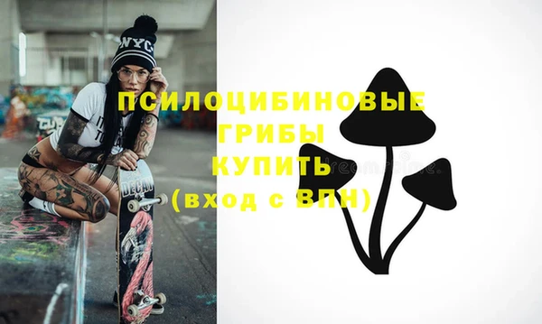 mix Няндома