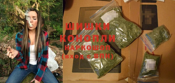 крисы Ельня