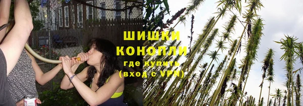 винт Новокубанск